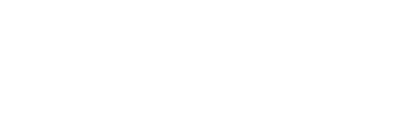 Nexus Voyagers logo
